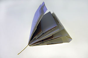 Jocelyne Thibault_maquette livre